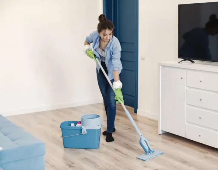 Femme de ménage Felletin